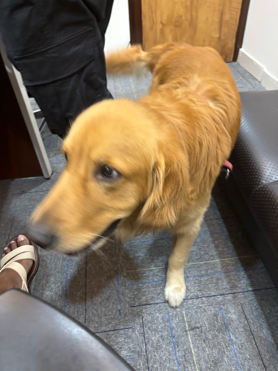 gallery image in our gallery