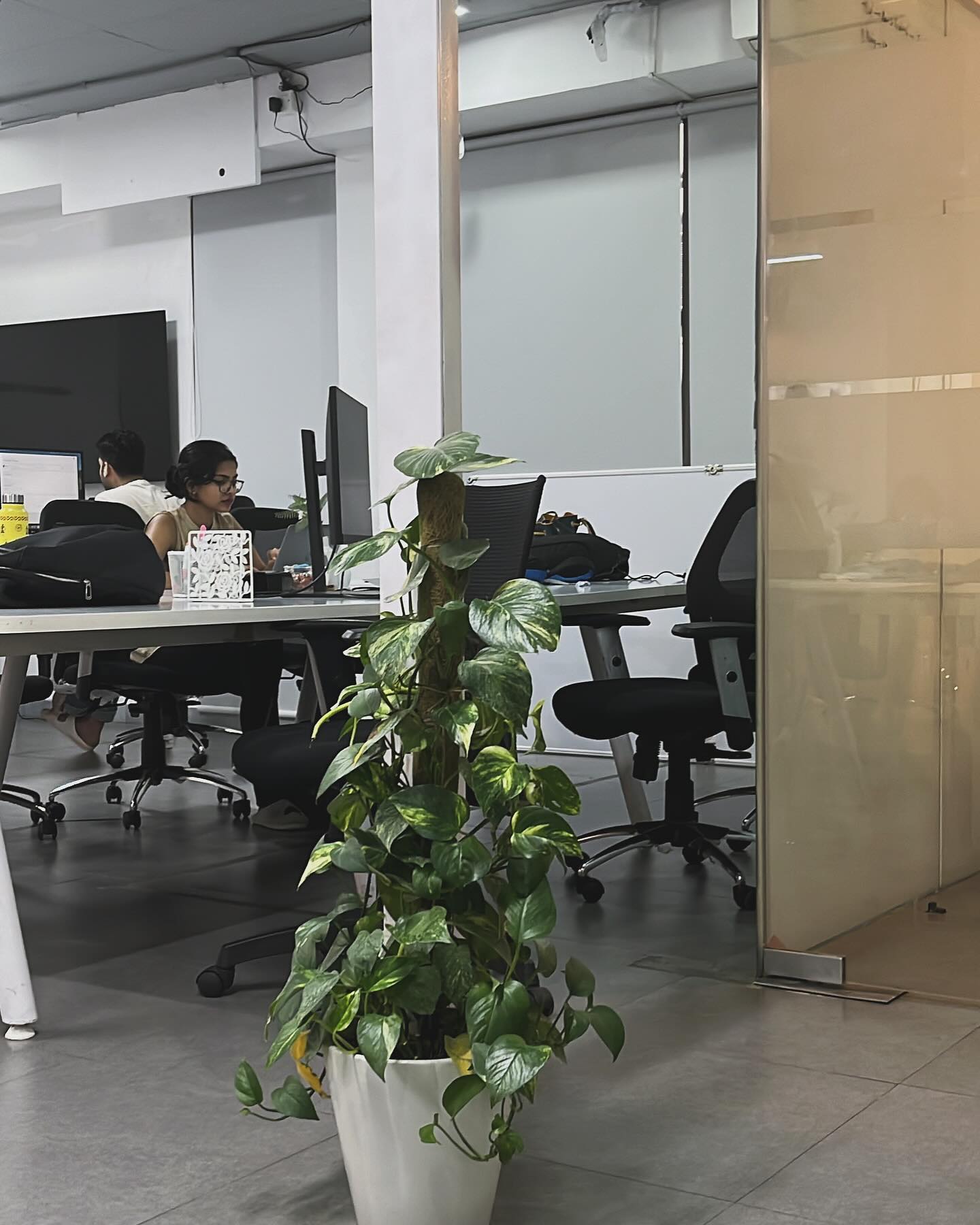 gallery image in our gallery