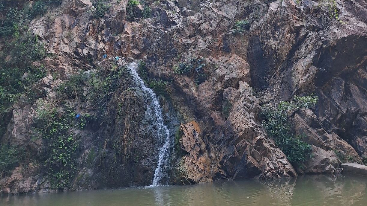 gallery image in our gallery