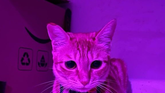 gallery image in our gallery