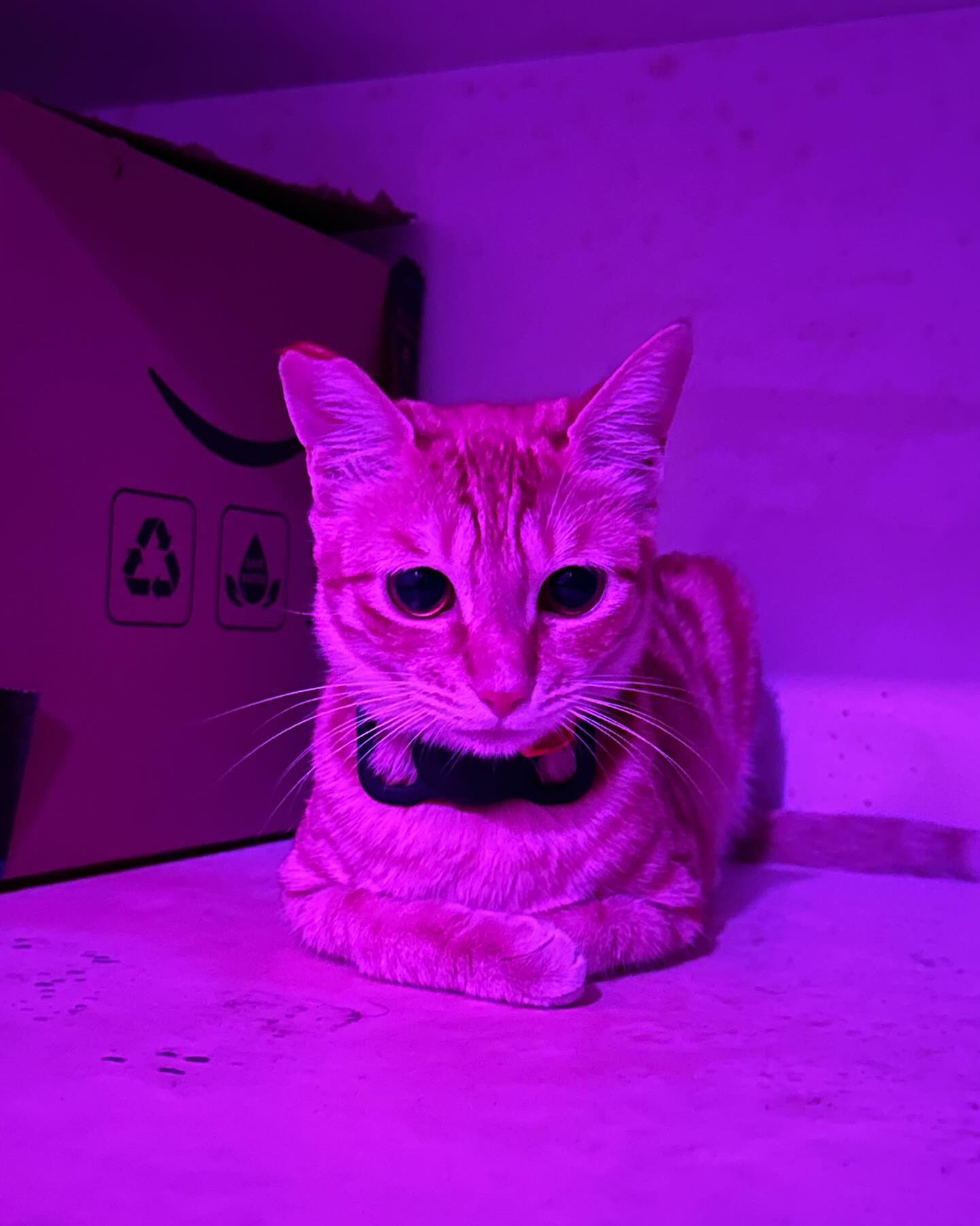 gallery image in our gallery