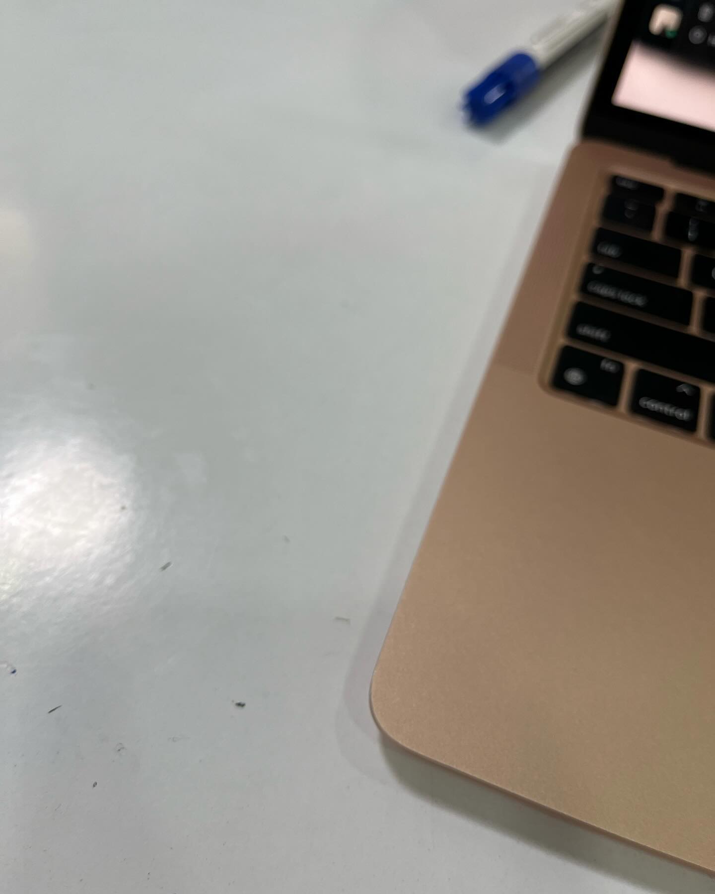 gallery image in our gallery