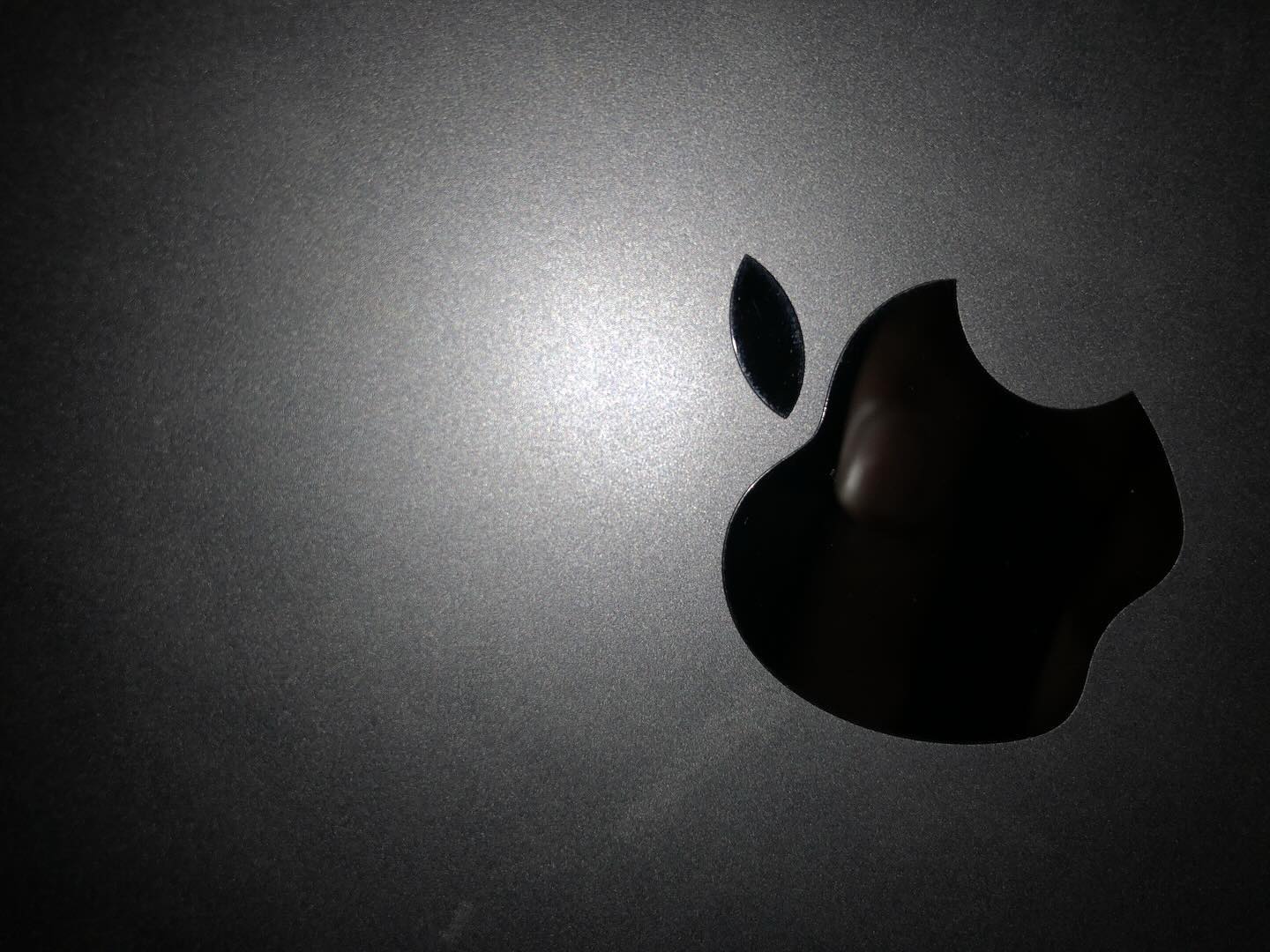 gallery image in our gallery