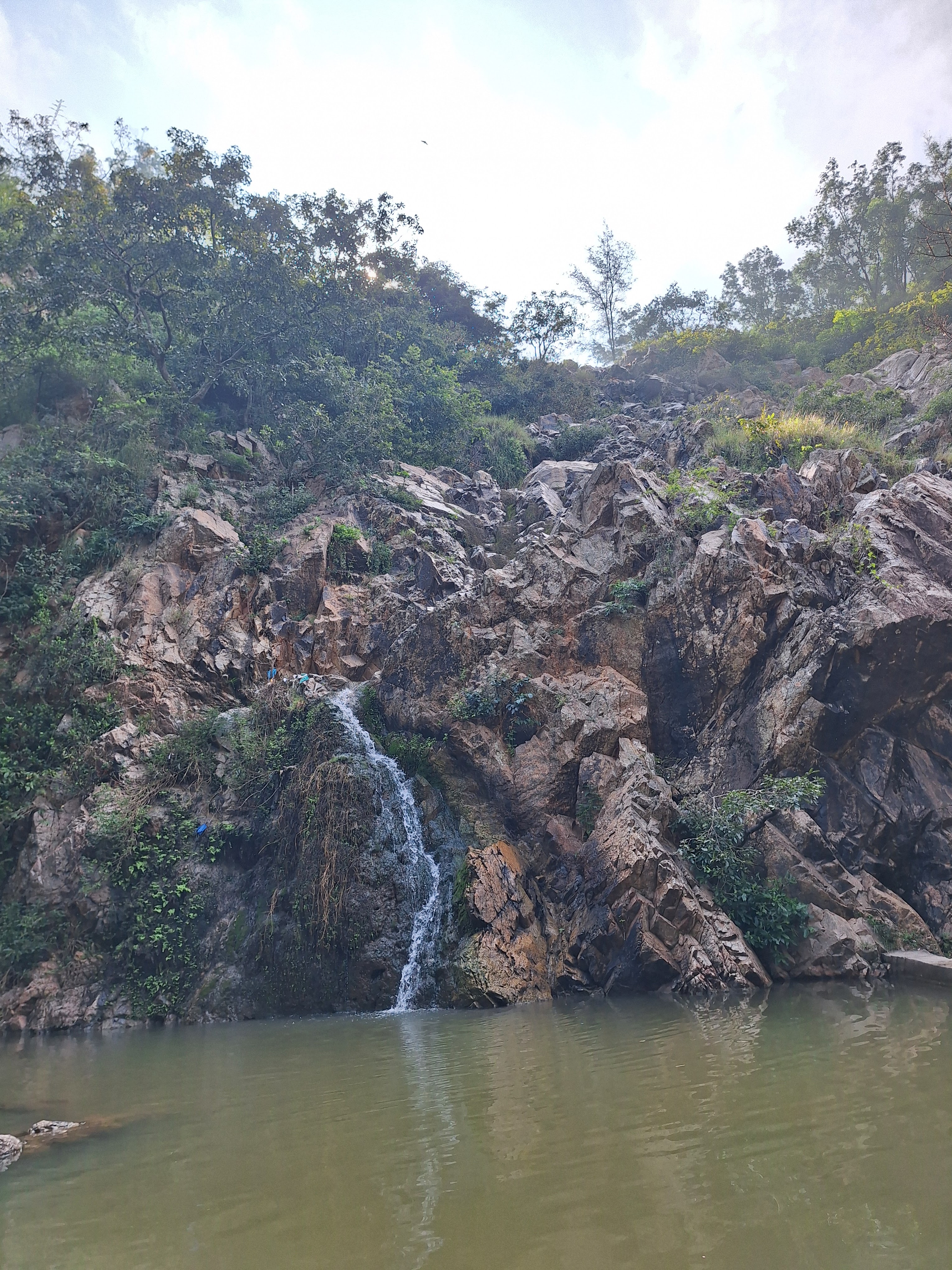 gallery image in our gallery