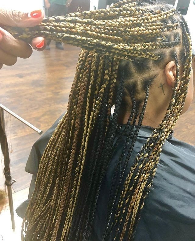 gallery image in our gallery