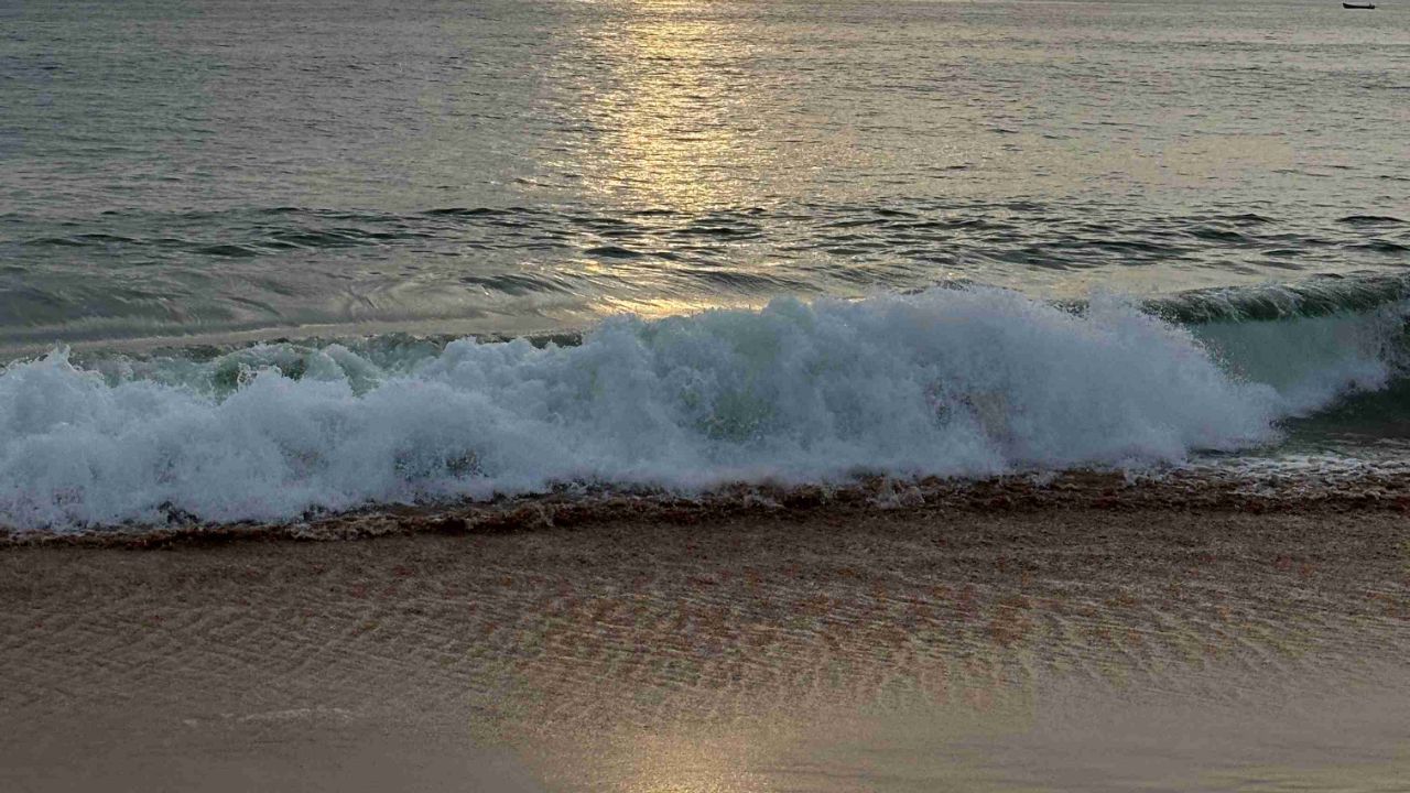 gallery image in our gallery