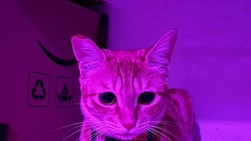 gallery image in our gallery