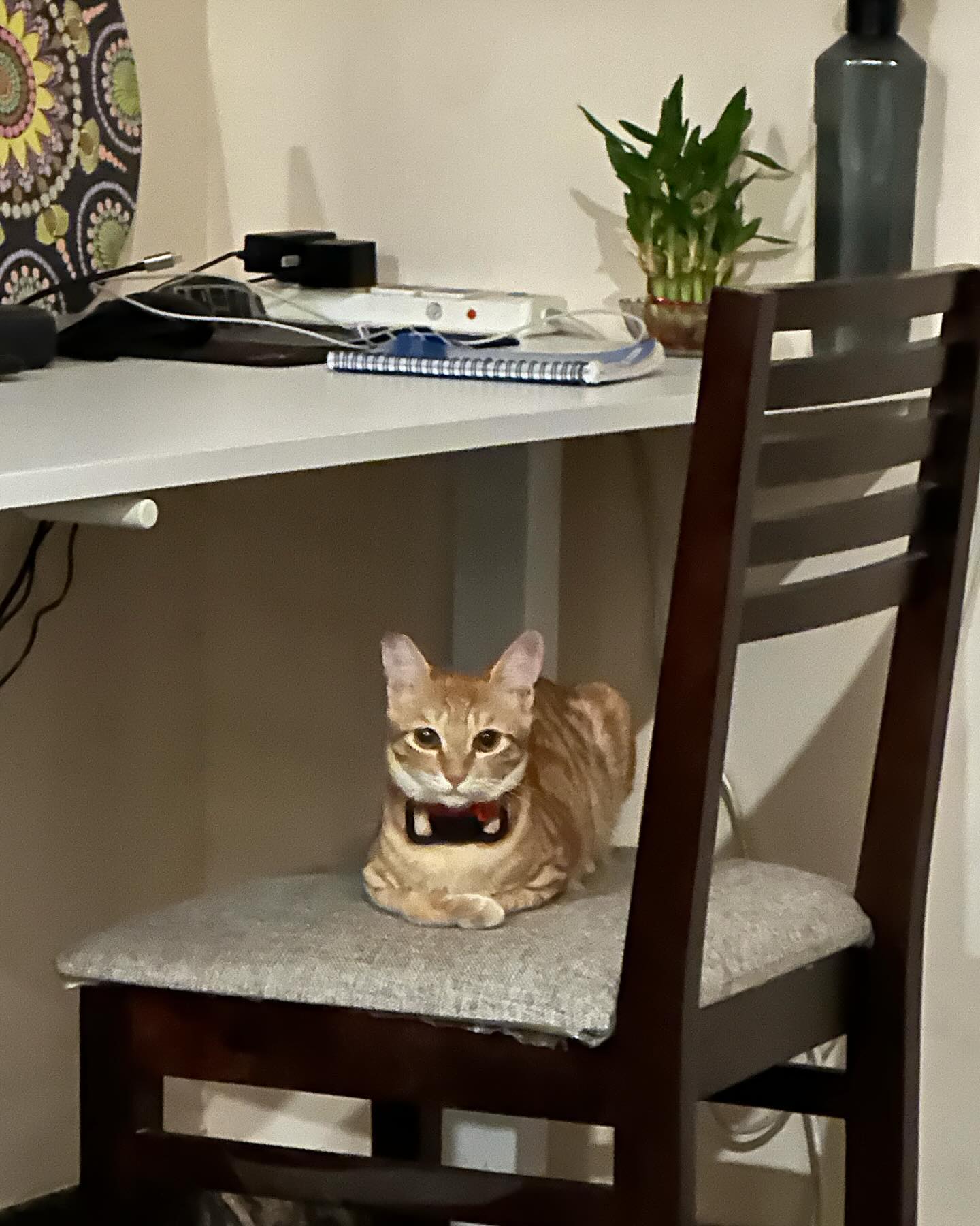 gallery image in our gallery